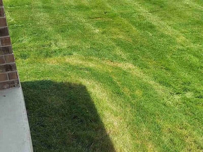 Lawn Care service in California City, 93505