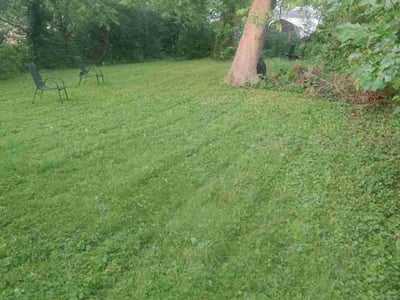 Lawn Care service in Cranston, 02910