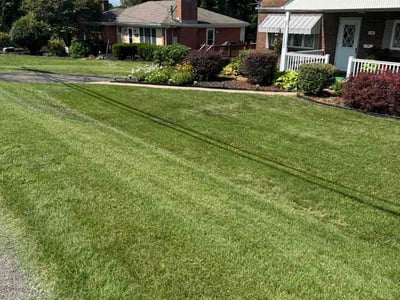 Lawn Care service in Monroeville, 15146