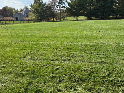 Lawn Care service in Carpentersville, 60110