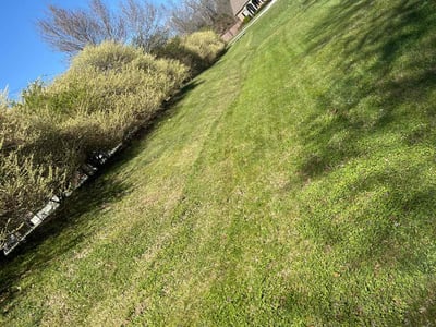 Lawn Care service in Bell Gardens, 90201