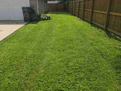 Lawn Care service in Muncie, 47305