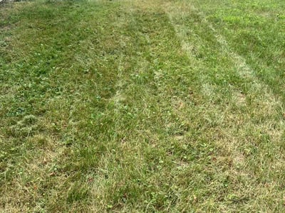 Lawn Care service in Monroeville, 15146