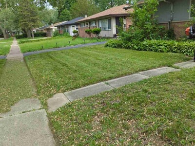 Lawn Care service in Huntley, 60142