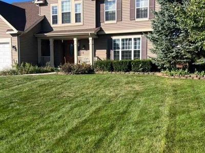 Lawn Care service in Carpentersville, 60110
