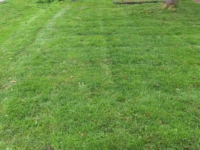 Lawn Care service in Huntley, 60142