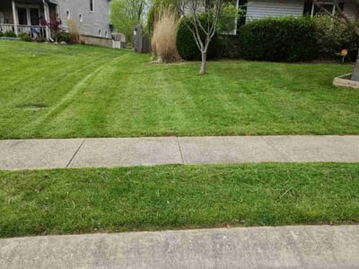 Lawn Care service in Glenshaw, 15116
