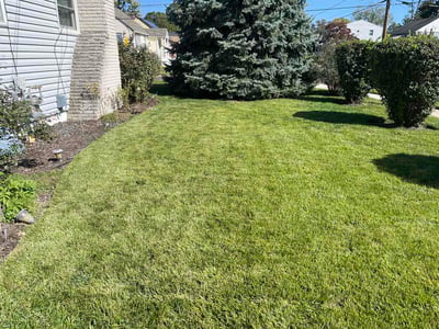 Lawn Care service in Cherry Hill, 08002