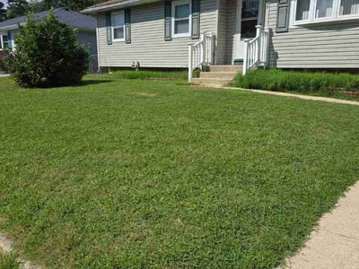 Lawn Care service in Cherry Hill, 08002