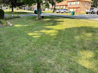 Lawn Care service in Napa, 94559