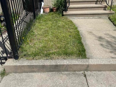Lawn Care service in Oak Forest, 60452