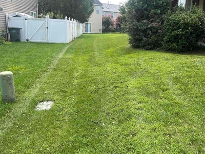 Lawn Care service in York, 29745