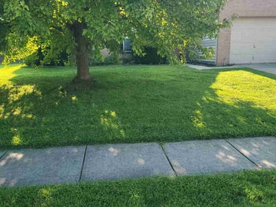 Lawn Care service in Cumberland, 46229