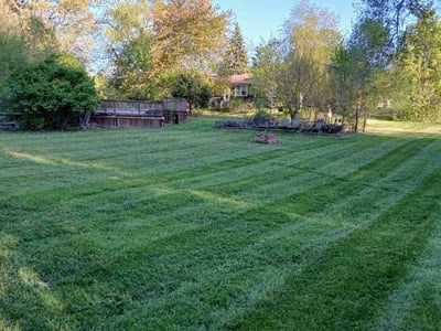 Lawn Care service in Dekalb, 60115