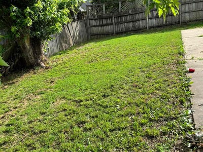 Lawn Care service in Moreno Valley, 92557