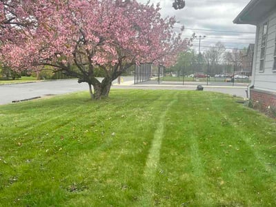 Lawn Care service in Tunkhannock, 18657