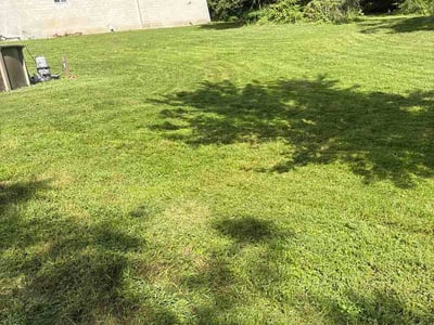 Lawn Care service in Ross Township, 15237
