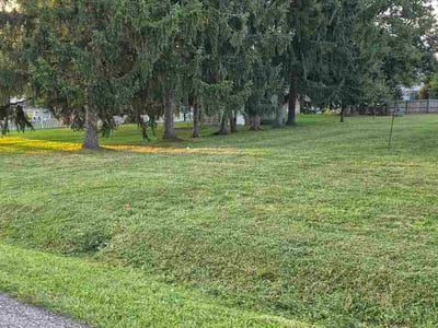 Lawn Care service in North Tonawanda, 14120