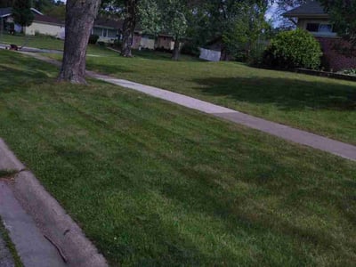 Lawn Care service in Westmont, 60559