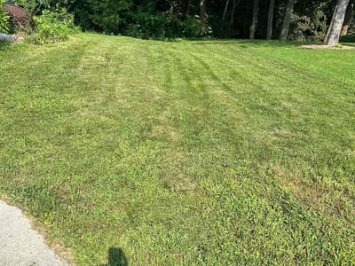 Lawn Care service in Tunkhannock, 18657