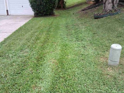 Lawn Care service in Hellertown, 18055