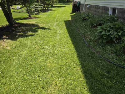 Lawn Care service in North Tonawanda, 14120