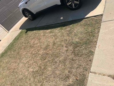 Lawn Care service in Sheridan, 72150