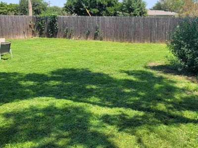 Lawn Care service in Midland, 79701