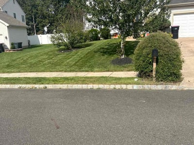 Lawn Care service in Sicklerville, 08081