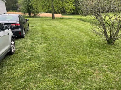 Lawn Care service in Cumberland, 02864