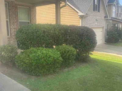 Lawn Care service in Burbank, 91502