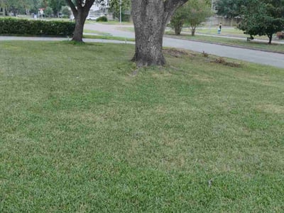 Lawn Care service in Rialto, 92376
