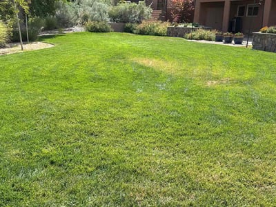 Lawn Care service in Waltham, 02452