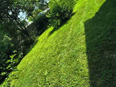Lawn Care service in Irwin, 15642