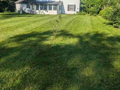 Lawn Care service in Irwin, 15642