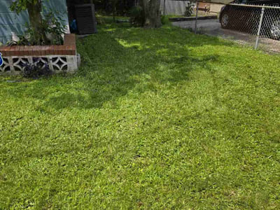 Lawn Care service in Waltham, 02452