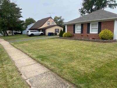 Lawn Care service in Blackwood, 08012