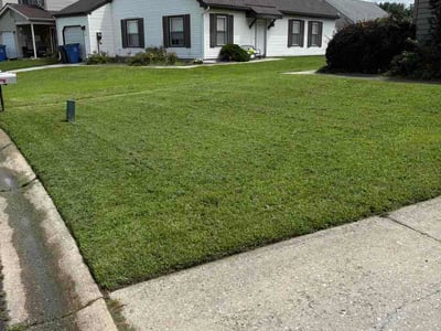Lawn Care service in Blackwood, 08012