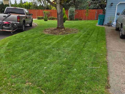 Lawn Care service in Battle Ground, 98604
