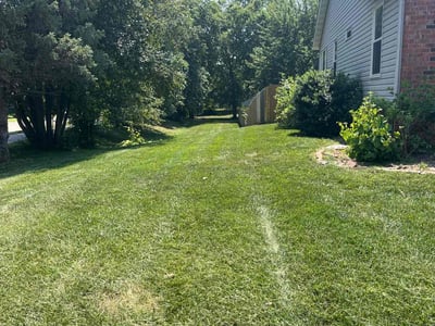 Lawn Care service in Highland, 62249