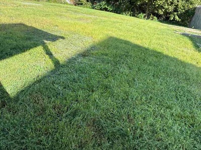 Lawn Care service in Clarks Summit, 18411