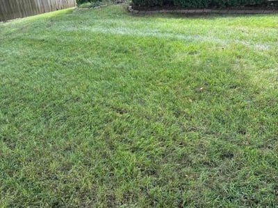 Lawn Care service in Dyer, 46311