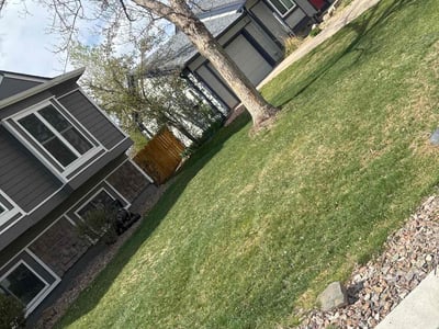 Lawn Care service in Clarks Summit, 18411