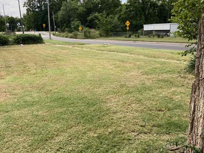 Lawn Care service in Westfield, 07090