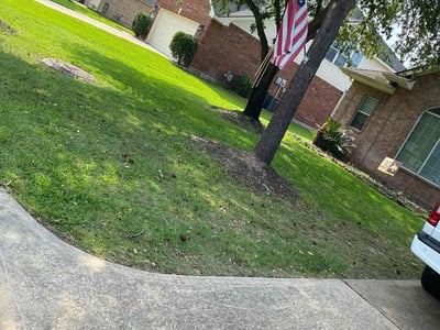 Lawn Care service in Tolleson, 85353
