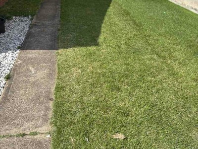 Lawn Care service in Monongahela, 15063