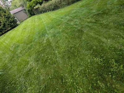 Lawn Care service in Kittanning, 16201