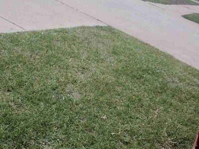 Lawn Care service in Marlborough, 01752
