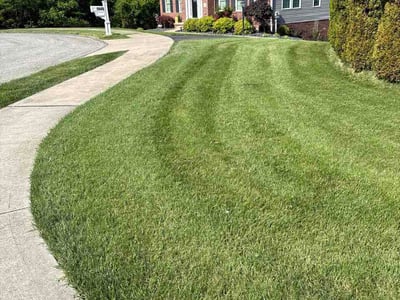 Lawn Care service in Kittanning, 16201
