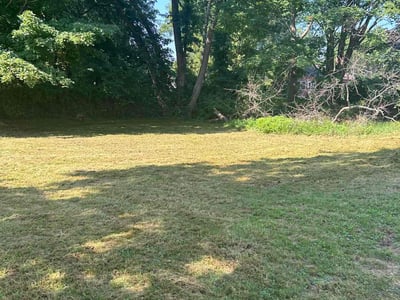 Lawn Care service in Taunton, 02780